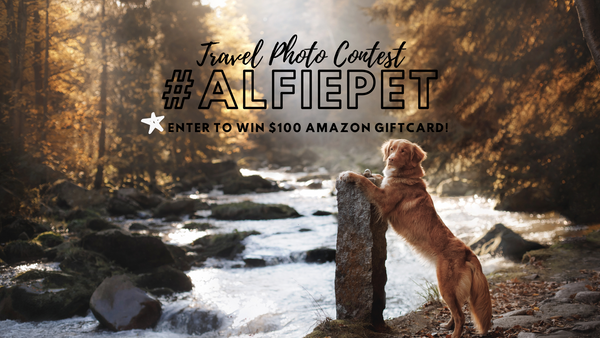 #alfiepet Travel Photo Contest 2019!