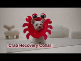 Noah Crab Recovery Collar