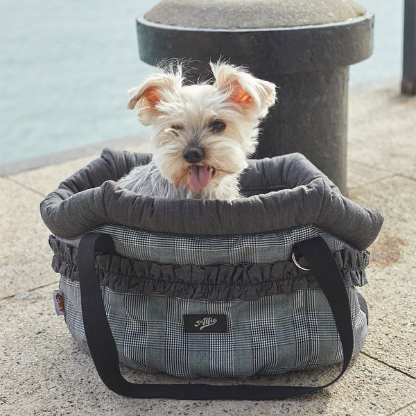 Alfie pet carrier 2025
