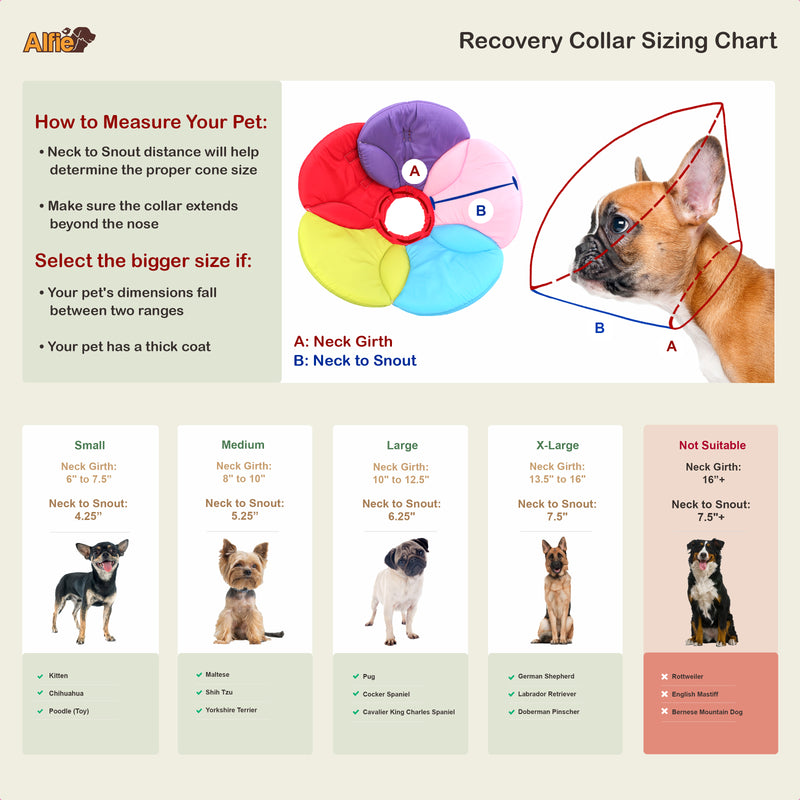 Kora Recovery Collar Multi