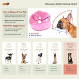 Kora Recovery Collar Pink