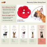 Kora Recovery Collar Red