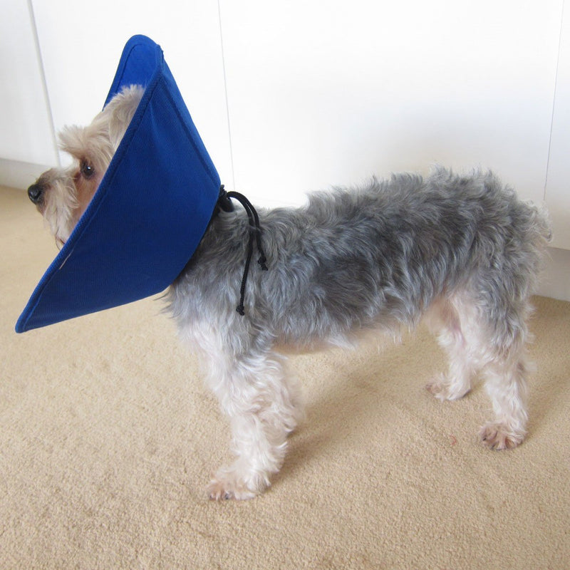 Kong ez soft sales collar for dogs