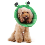 Noah Frog Recovery Collar