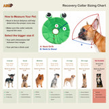 Noah Frog Recovery Collar