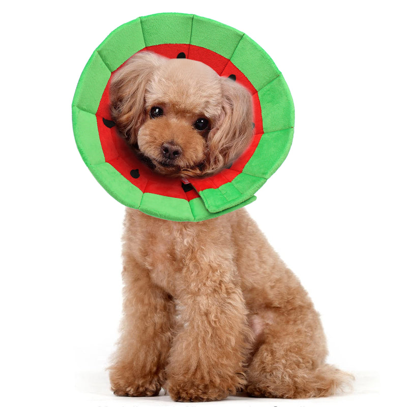 Marcos Watermelon Recovery Collar