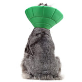 Marcos Watermelon Recovery Collar