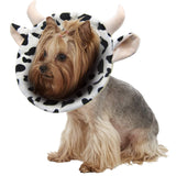 Noah Cow Recovery Collar