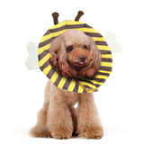 Noah Bee Recovery Collar