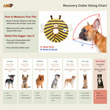 Noah Bee Recovery Collar