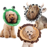 Noah 3-Piece Set Cow, Frog and Lion Recovery Collar