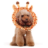 Noah Giraffe Recovery Collar