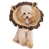 Noah Lion Recovery Collar