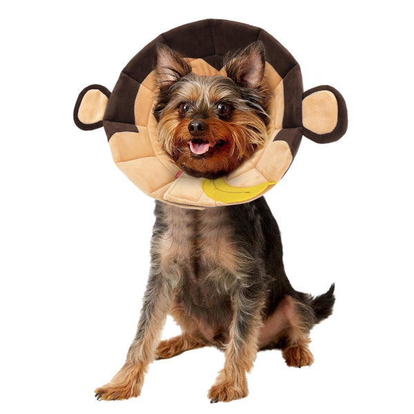 Noah  Monkey Recovery Collar