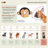 Noah  Monkey Recovery Collar