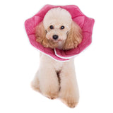 Noel Pink PomPom Recovery Collar
