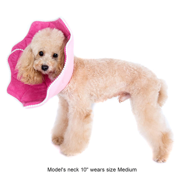 Noel Pink PomPom Recovery Collar