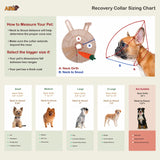 Noah Rabbit Recovery Collar