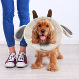 Noah Sheep Recovery Collar