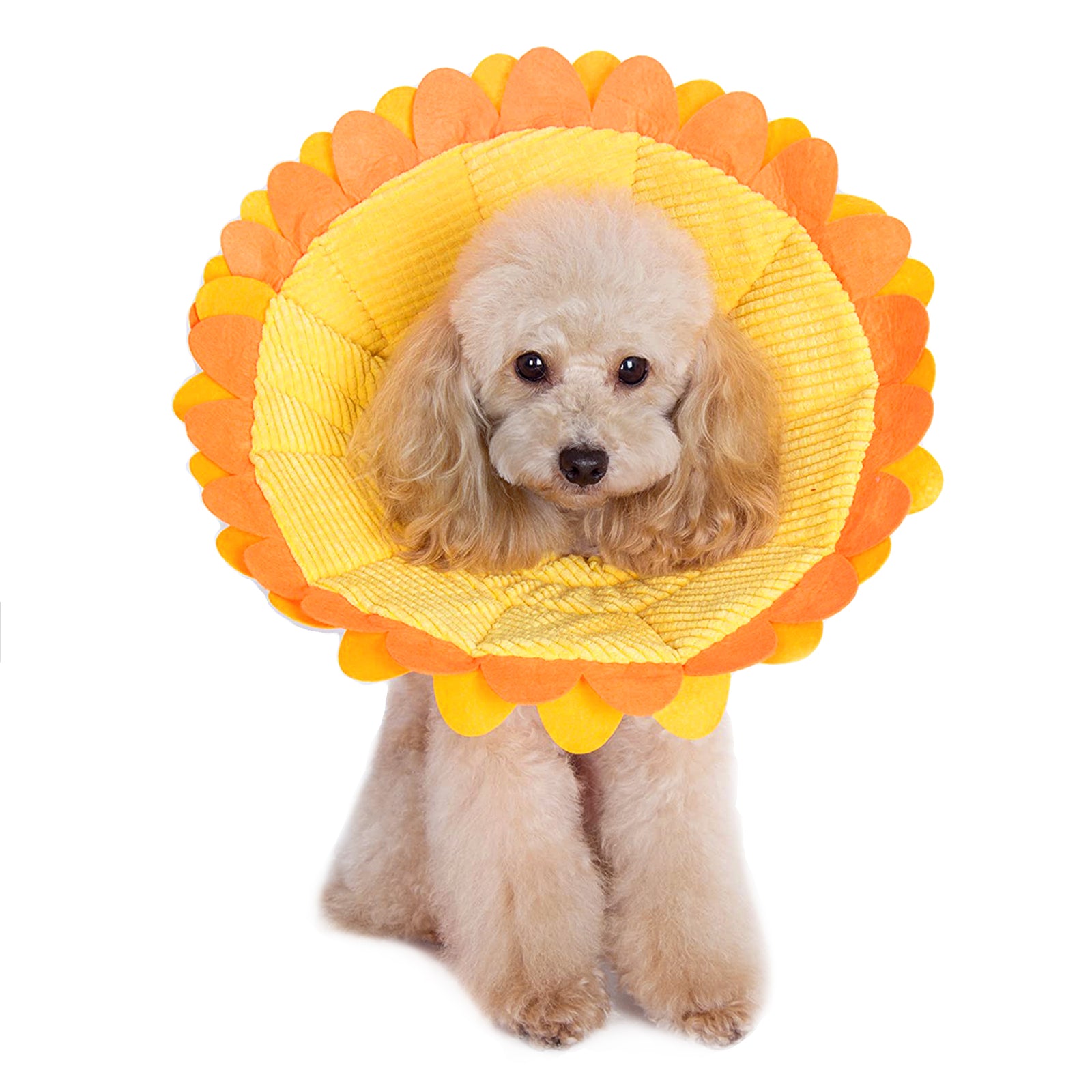 Kitten Cone Sunflower Pet Recovery Cone Soft Elizabethan Collar