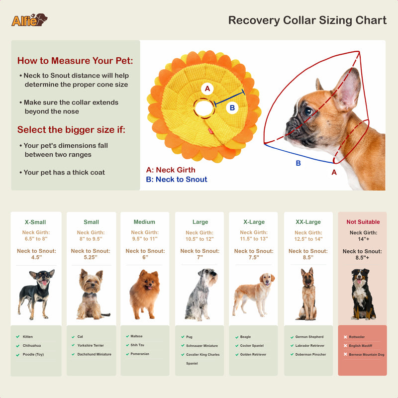 Noel Sunflower Recovery Collar