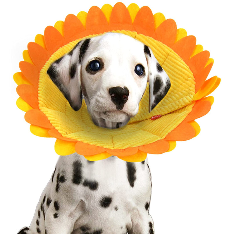 Noel Sunflower Recovery Collar