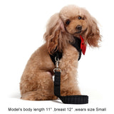 Oliver Step-in Harness and Leash Set