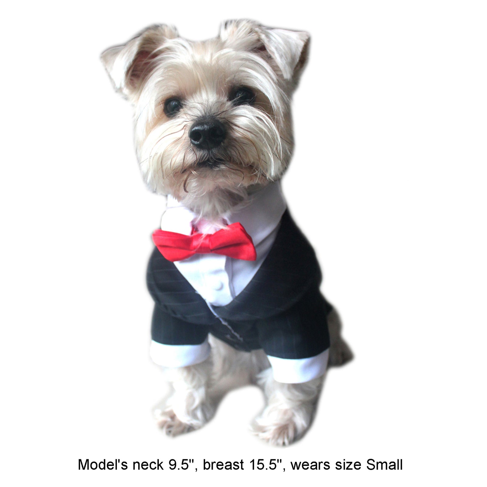 black tie for dogs