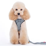 Shayne Step-in Harness and Leash Set
