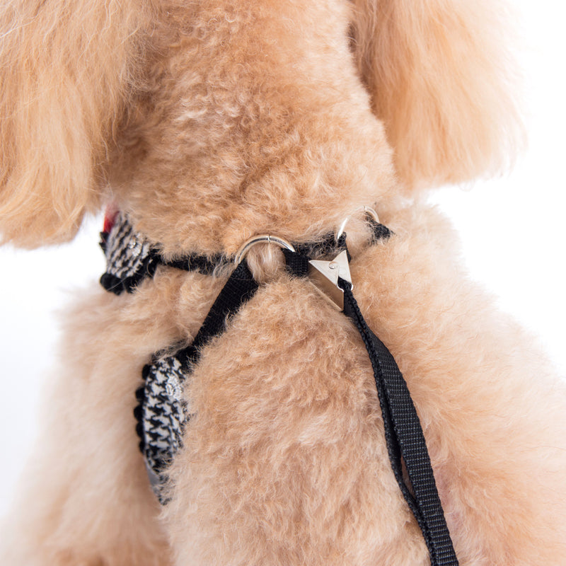 Shayne Step-in Harness and Leash Set