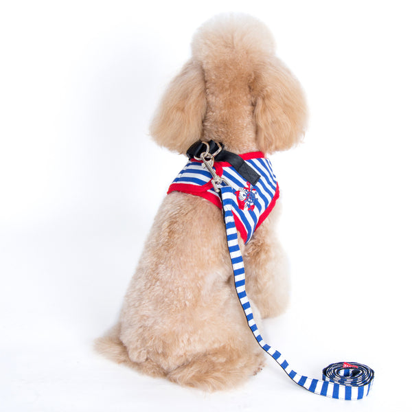 Vince Sailor Harness and Leash Set