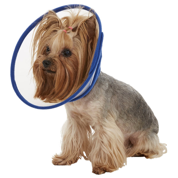 Zumi Recovery Collar with Soft Edge V2 Blue - Velcro Closure