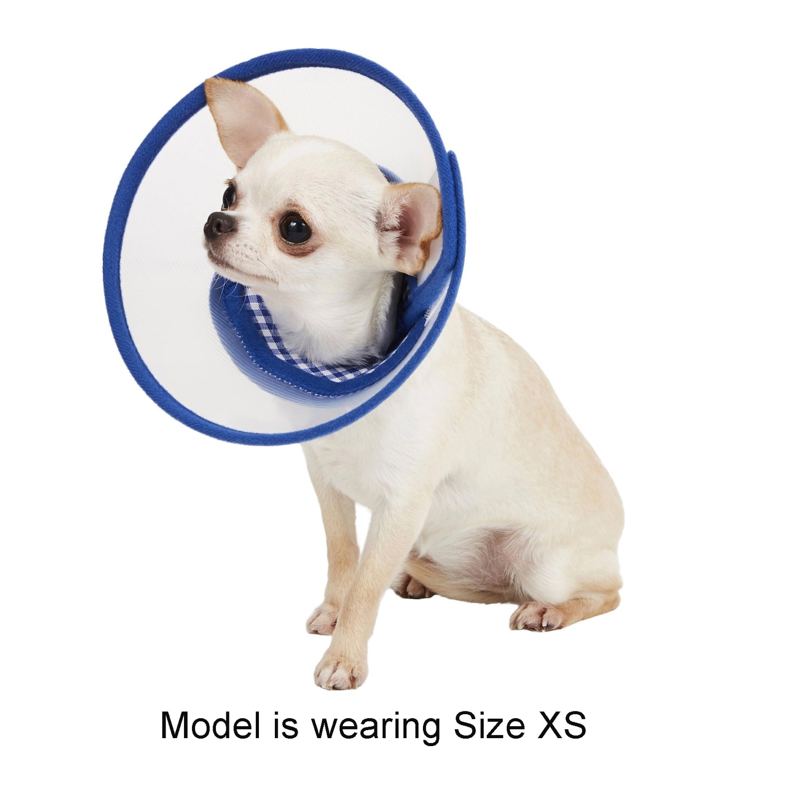 Zumi Recovery Collar with Soft Edge V2 Blue Button Closure