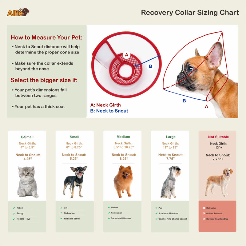 Zumi Recovery Collar with Soft Edge V2 Red - Velcro Closure