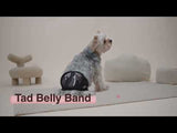 Tad Belly Band Green