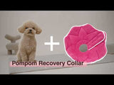 Noel Pink PomPom Recovery Collar