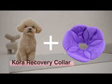 Kora Recovery Collar Pink