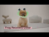 Noah Frog Recovery Collar