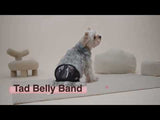 Tad 3-Piece Set Belly Band