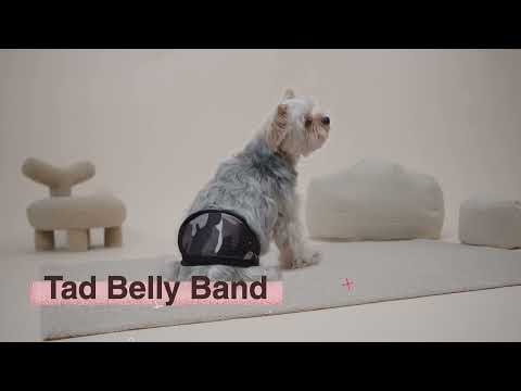 Tad 3-Piece Set Belly Band