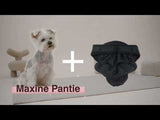Maxine Sanitary Pantie with Velcro Closure Black