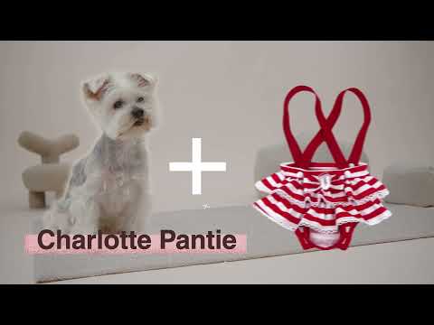 Charlotte Sanitary Pantie Blue