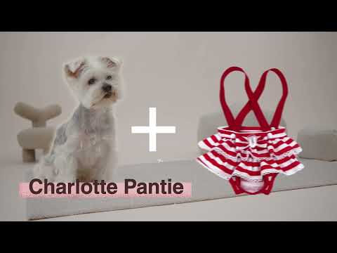 Charlotte Sanitary Pantie Red