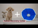 Keeva Recovery Collar Pink