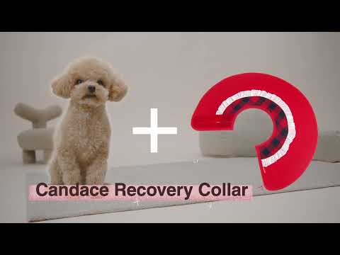 Candace Soft Recovery Collar Red