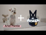 Ariel Sanitary 2-Piece Set Pantie